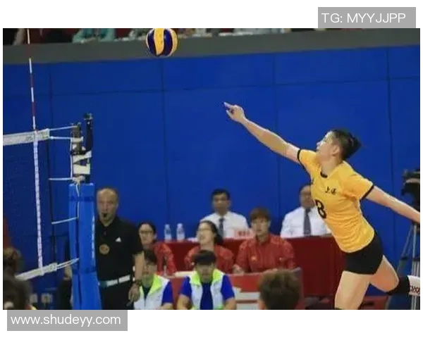 全国锦标赛回顾：杭州排球队默契配合展现团队实力与竞技精神