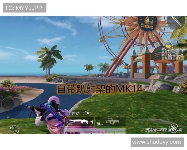 和平精英战术分析：深入探讨JDG中路突破的成功秘诀与战术运用