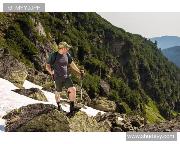 攀岩竞技的魅力与挑战：深入解析上海攀岩队的战术与训练秘诀